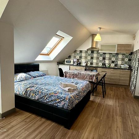 Appartement 4 Personnes En Plein Centre De كولمار المظهر الخارجي الصورة