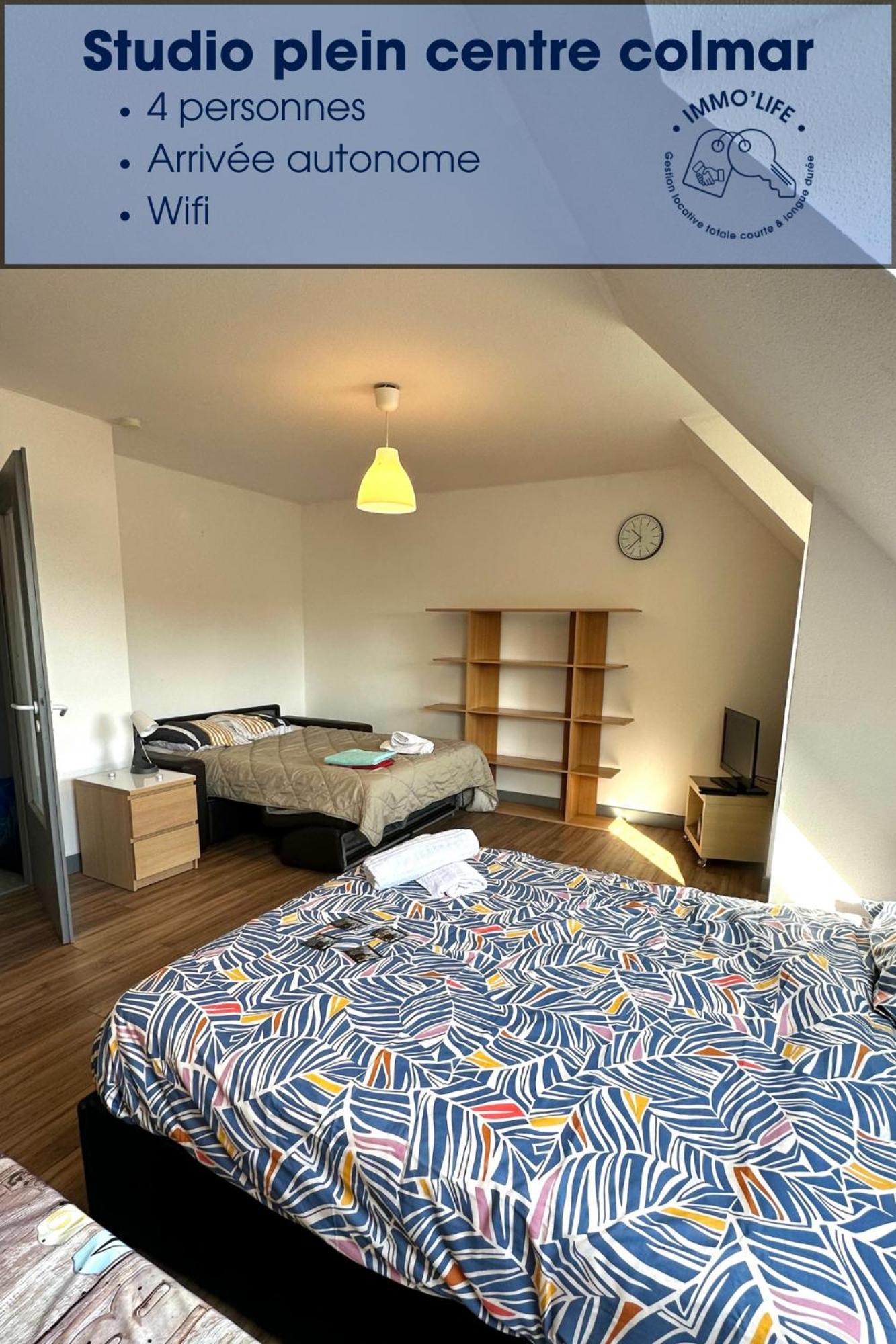 Appartement 4 Personnes En Plein Centre De كولمار المظهر الخارجي الصورة